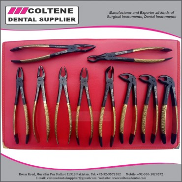Extraction Forceps E...