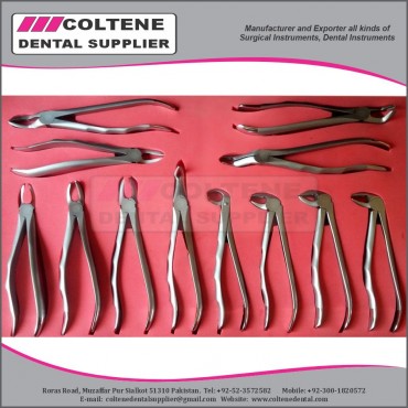 Extraction Forceps E...
