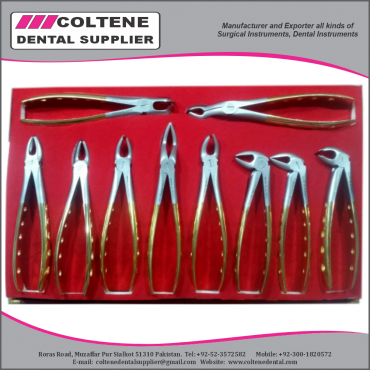 Extraction Forceps E...