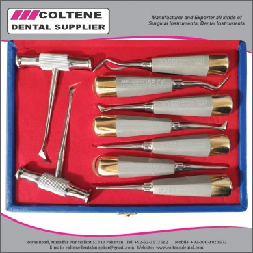 Root Elevator Premiu...